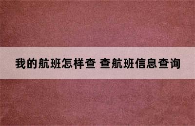 我的航班怎样查 查航班信息查询
